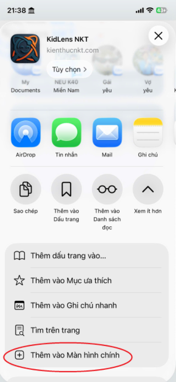 Safari 4